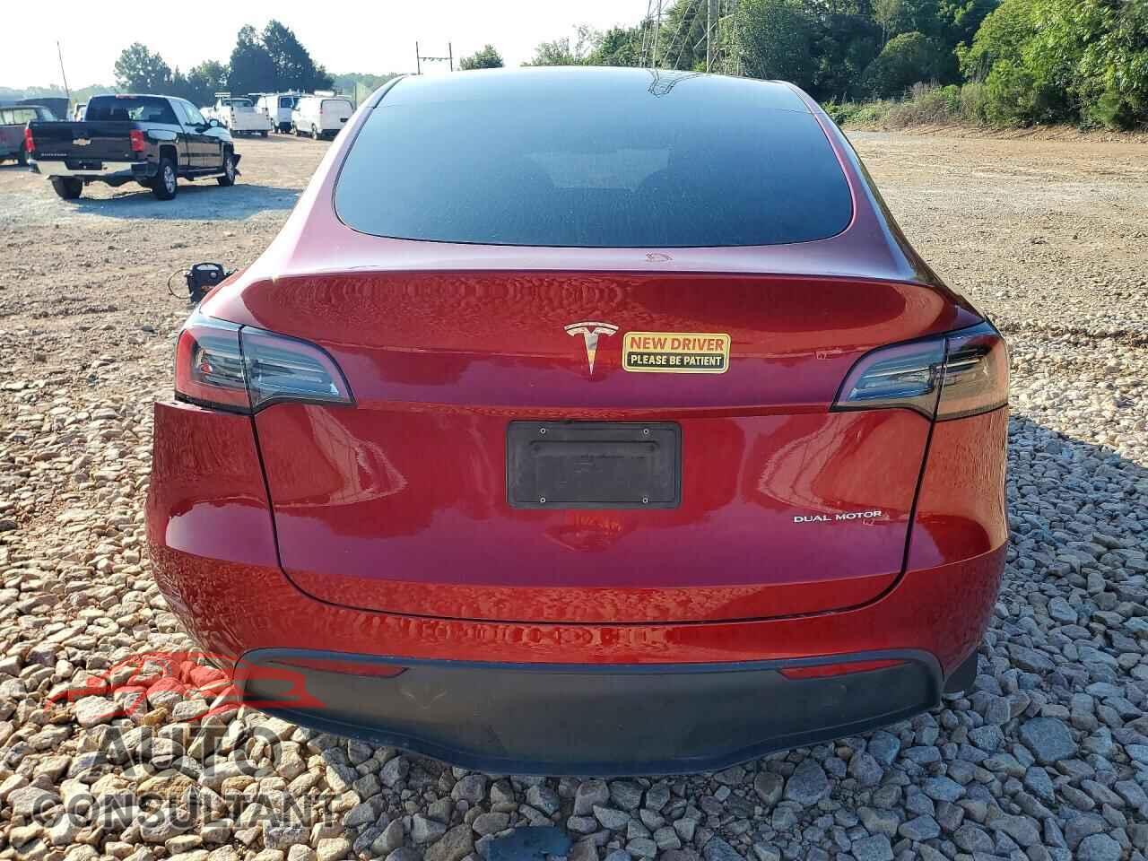 TESLA MODEL Y 2025 - 7SAYGAEE4SF218085
