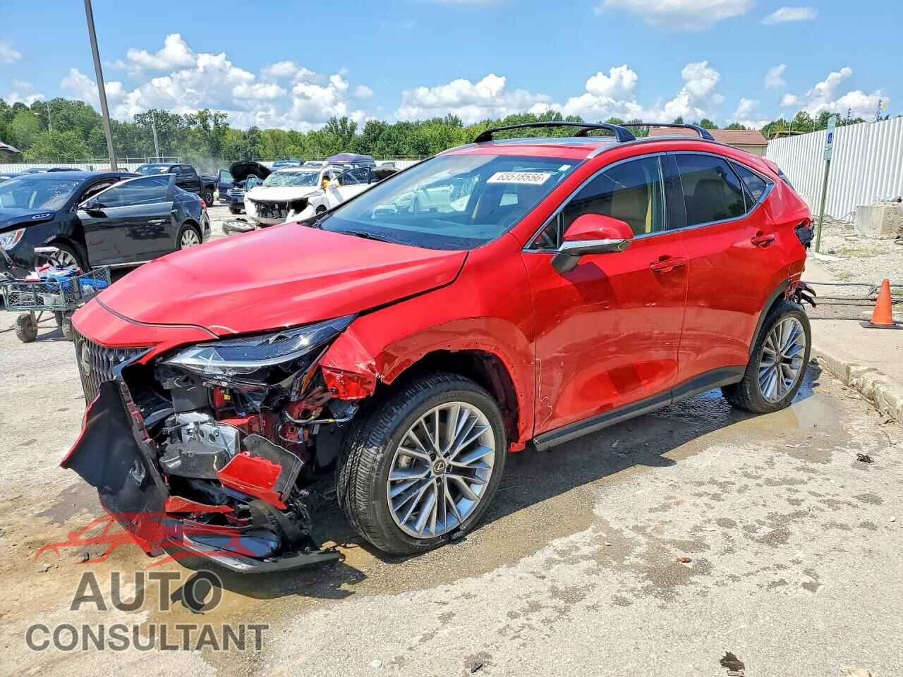 LEXUS NX 2025 - 2T2GGCEZ7SC080615