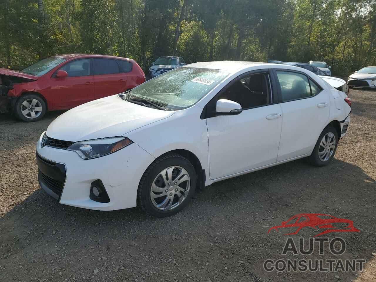 TOYOTA COROLLA 2016 - 2T1BURHE9GC717188