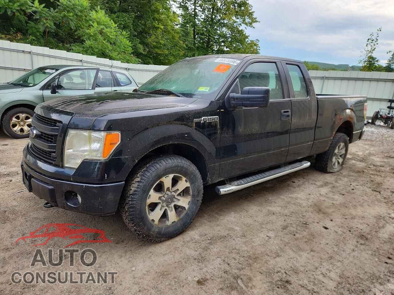 FORD F150 2014 - 1FTFX1EF4EFC58096