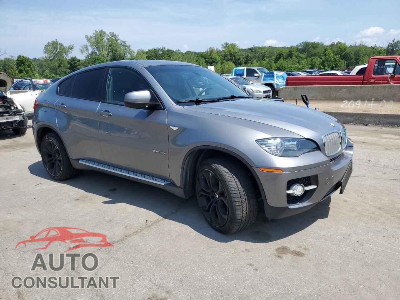BMW X6 2011 - 5UXFG8C56BLZ96142