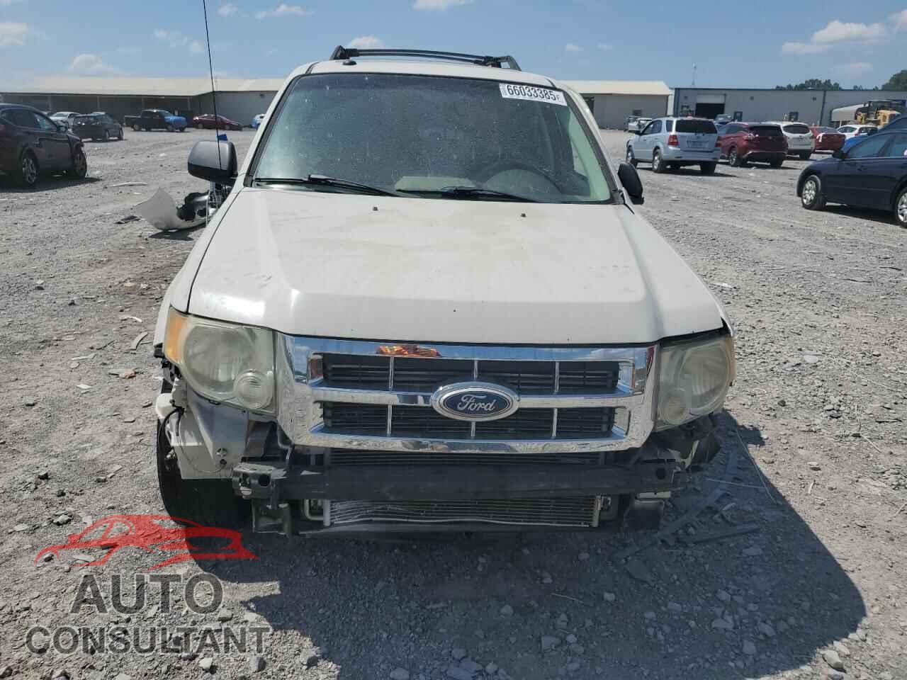 FORD ESCAPE 2010 - 1FMCU9DG9AKB06929