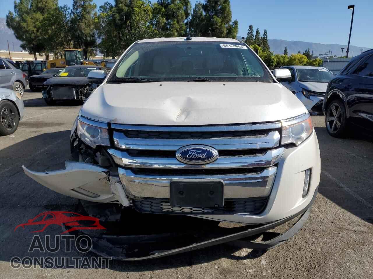 FORD EDGE 2011 - 2FMDK3KC0BBB35741
