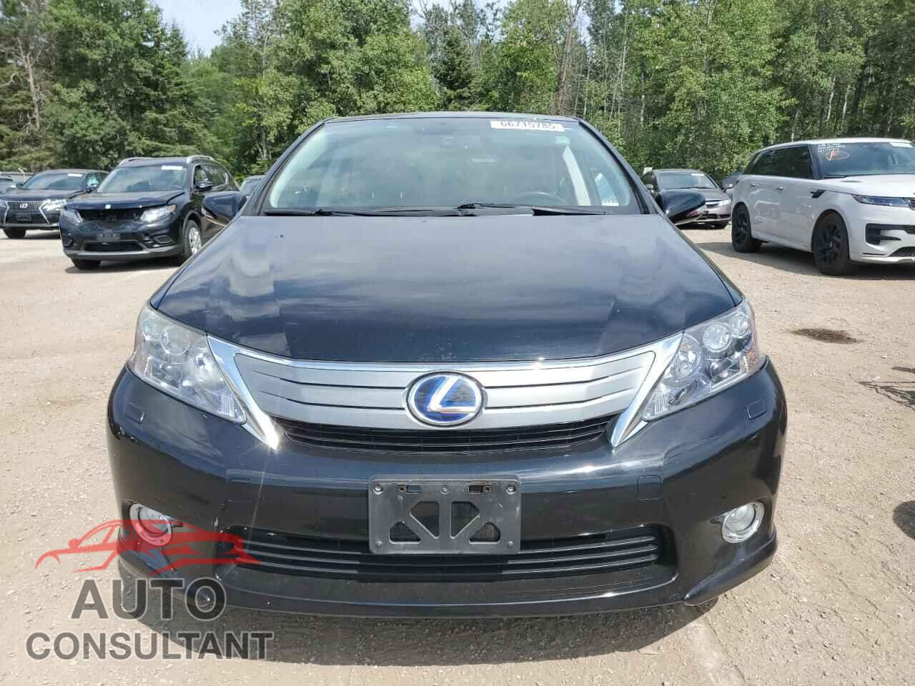 LEXUS HS 2010 - JTHBB1BA8A2034691