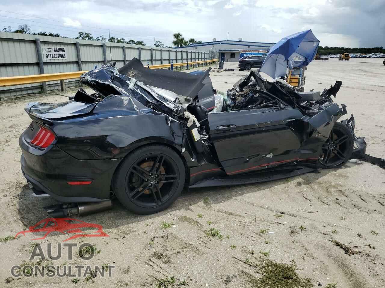 FORD MUSTANG 2019 - 1FA6P8CF8K5110066