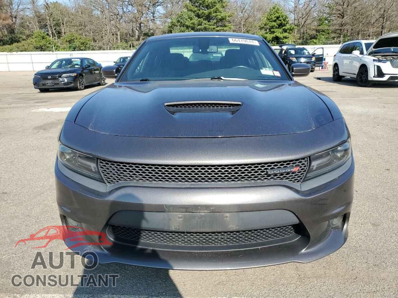 DODGE CHARGER 2019 - 2C3CDXCTXKH549871
