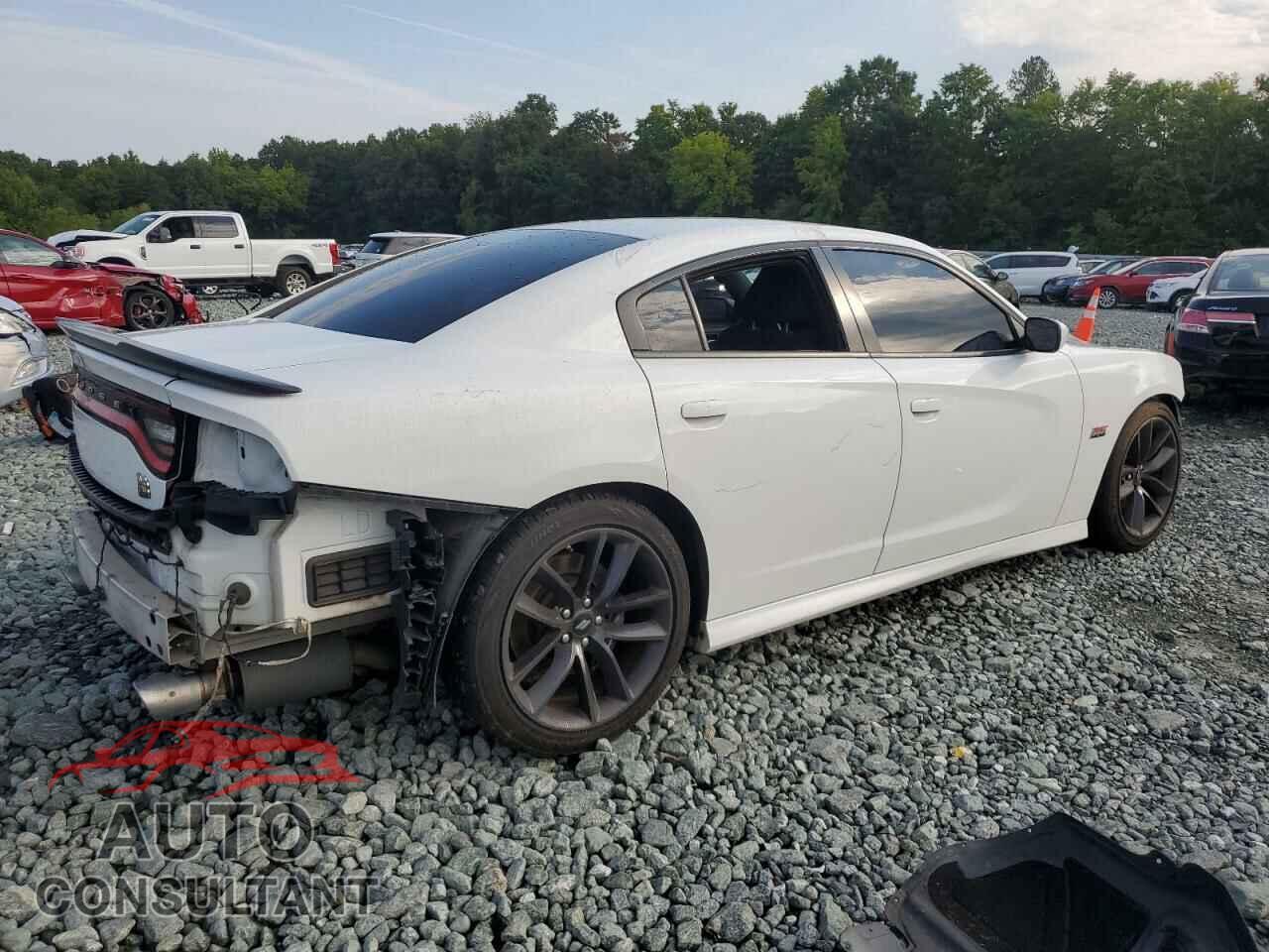 DODGE CHARGER 2019 - 2C3CDXGJ6KH558253