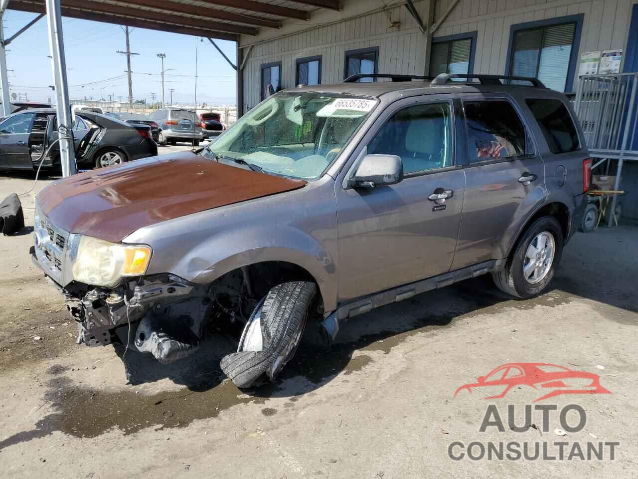 FORD ESCAPE 2011 - 1FMCU0D70BKA33530