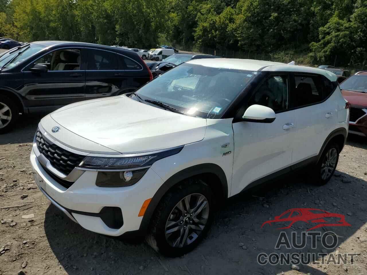 KIA SELTOS 2021 - KNDEPCAA3M7060992