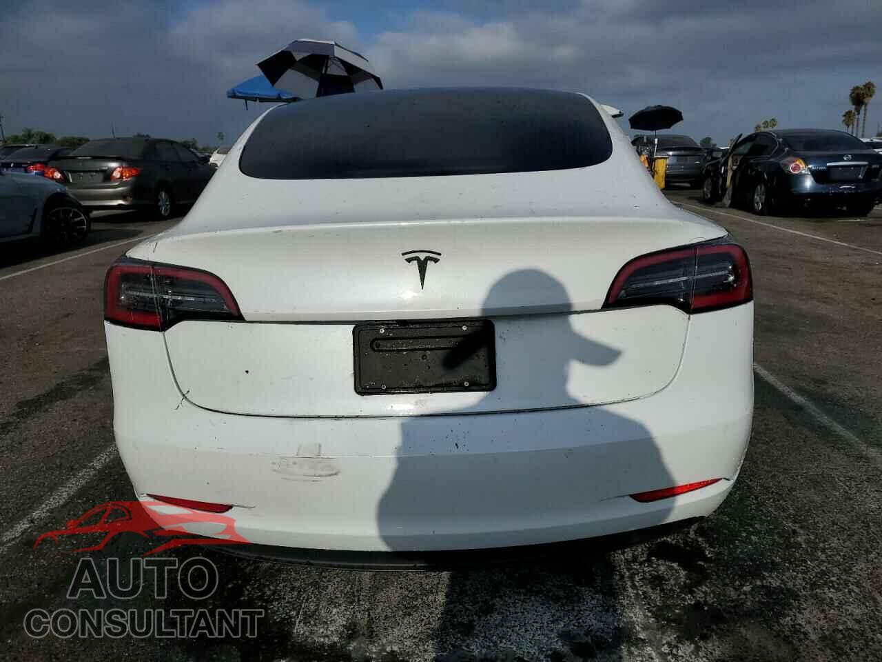 TESLA MODEL 3 2020 - 5YJ3E1EA0LF799564