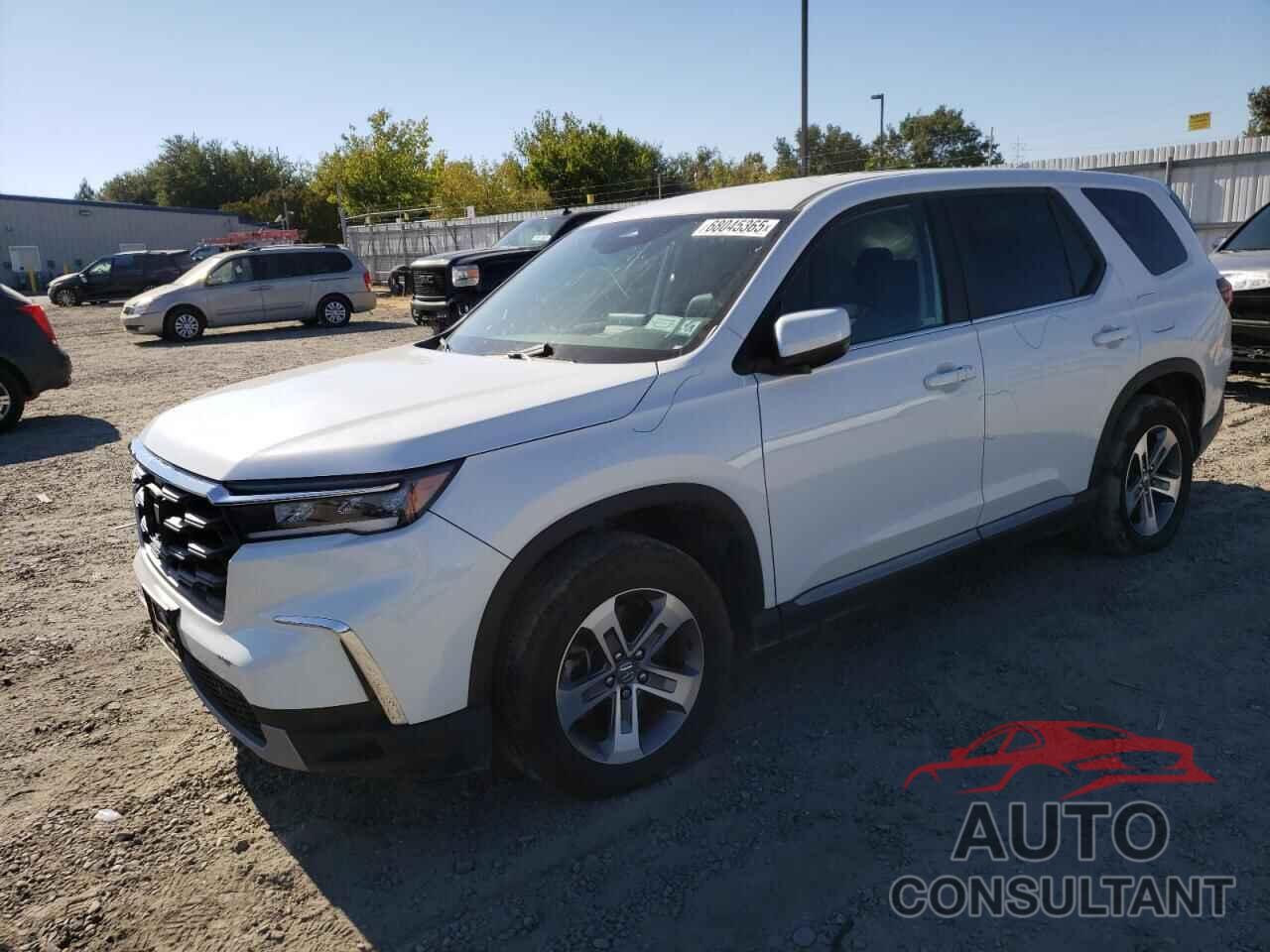 HONDA PILOT 2024 - 5FNYG1H50RB006724