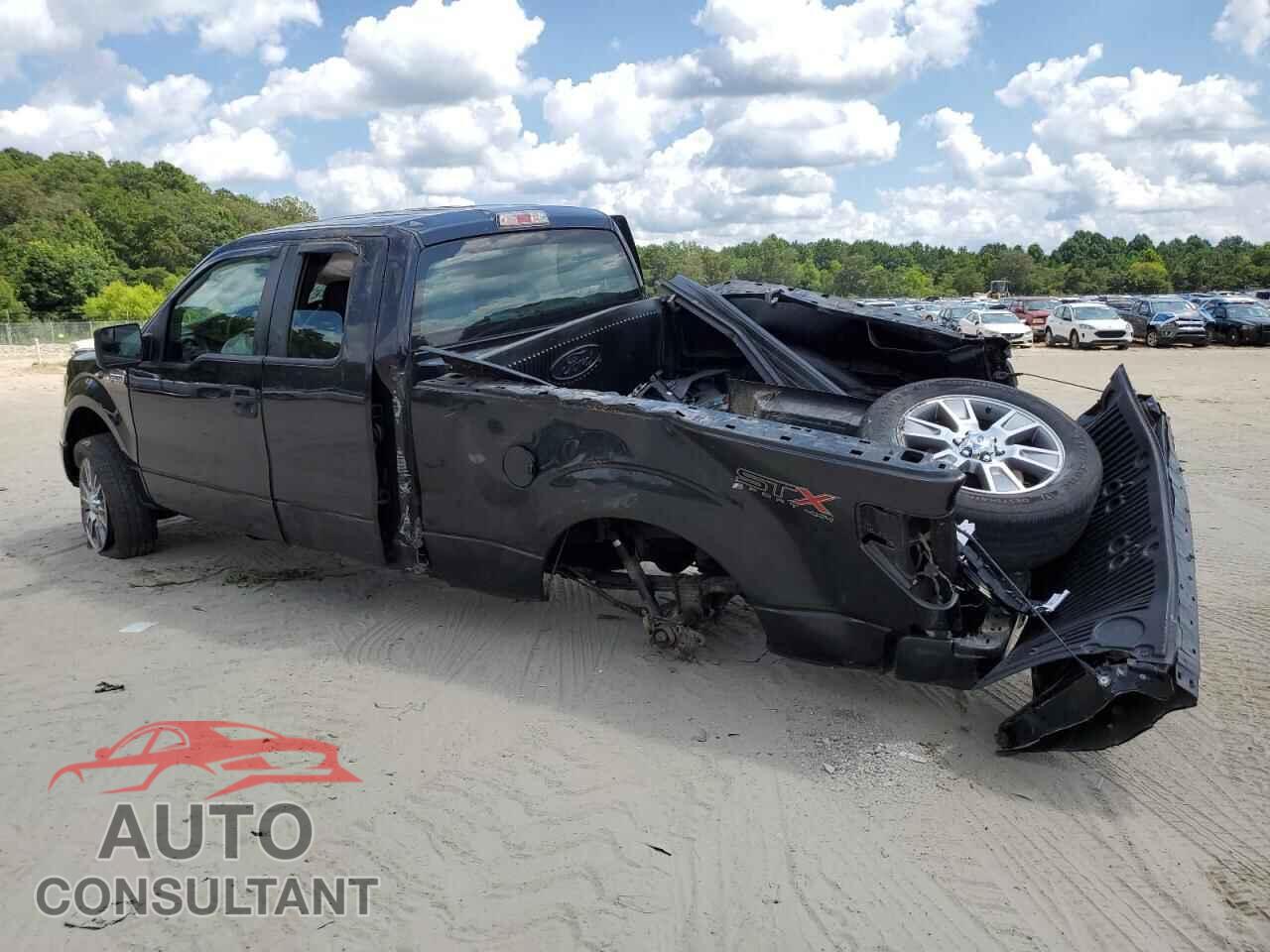 FORD F-150 2014 - 1FTFX1EF2EFC39207