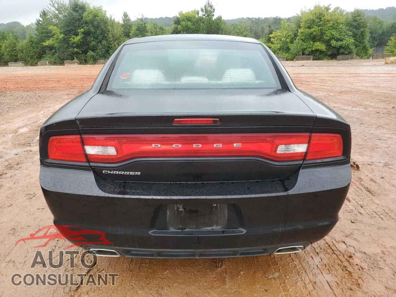 DODGE CHARGER 2014 - 2C3CDXBG2EH113282