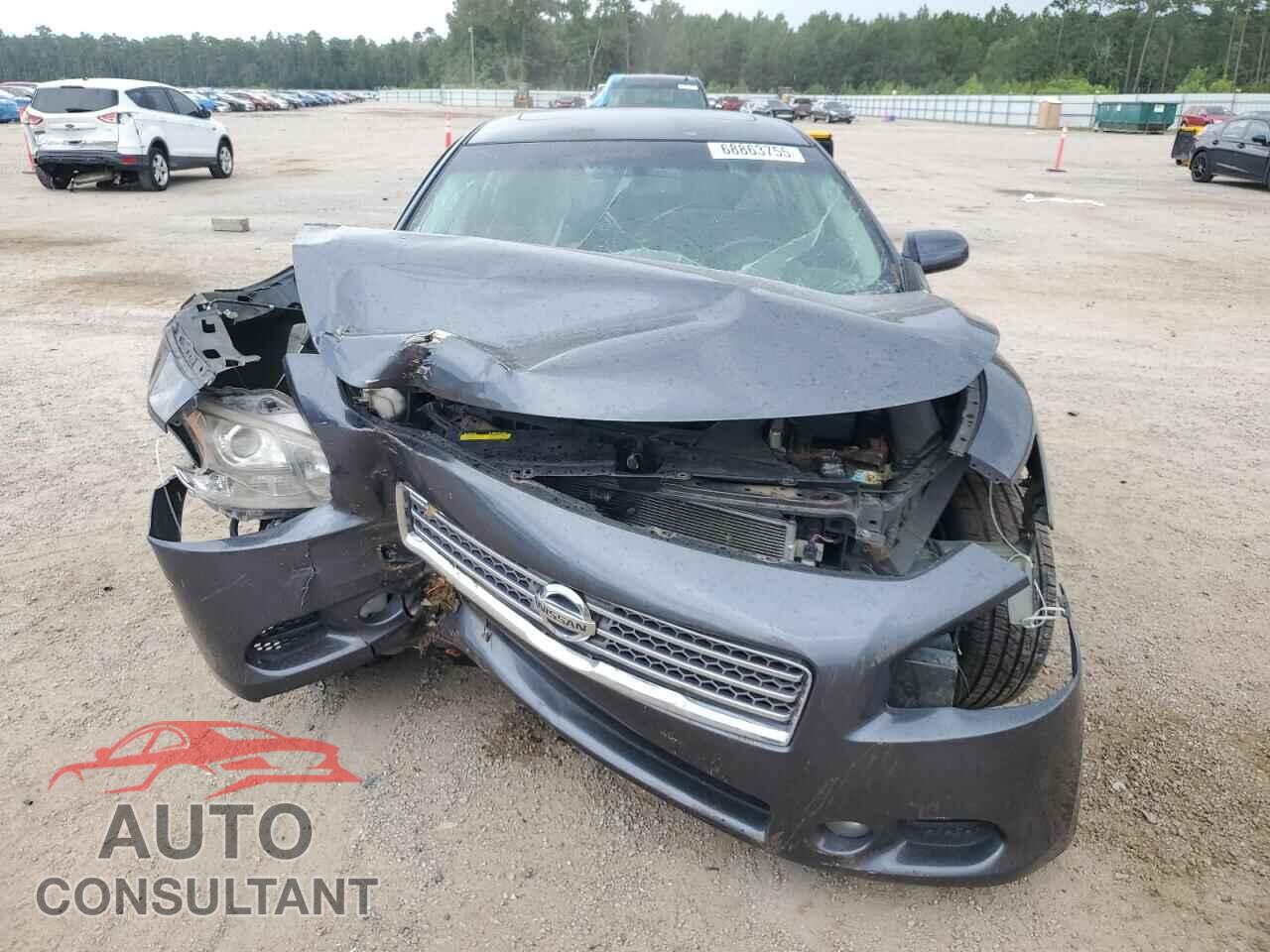 NISSAN MAXIMA 2011 - 1N4AA5AP8BC817055