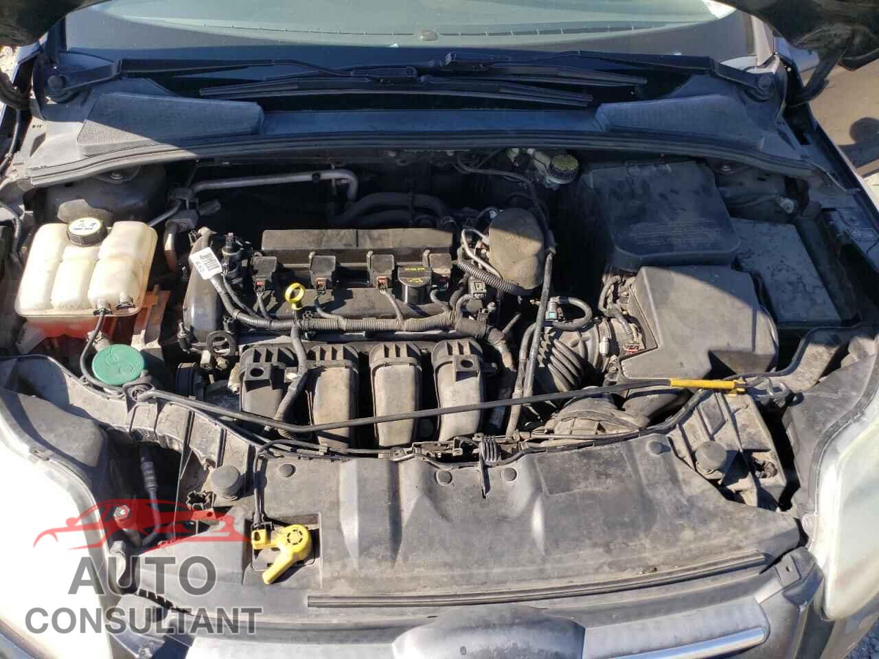 FORD FOCUS 2013 - 1FADP3K20DL212372
