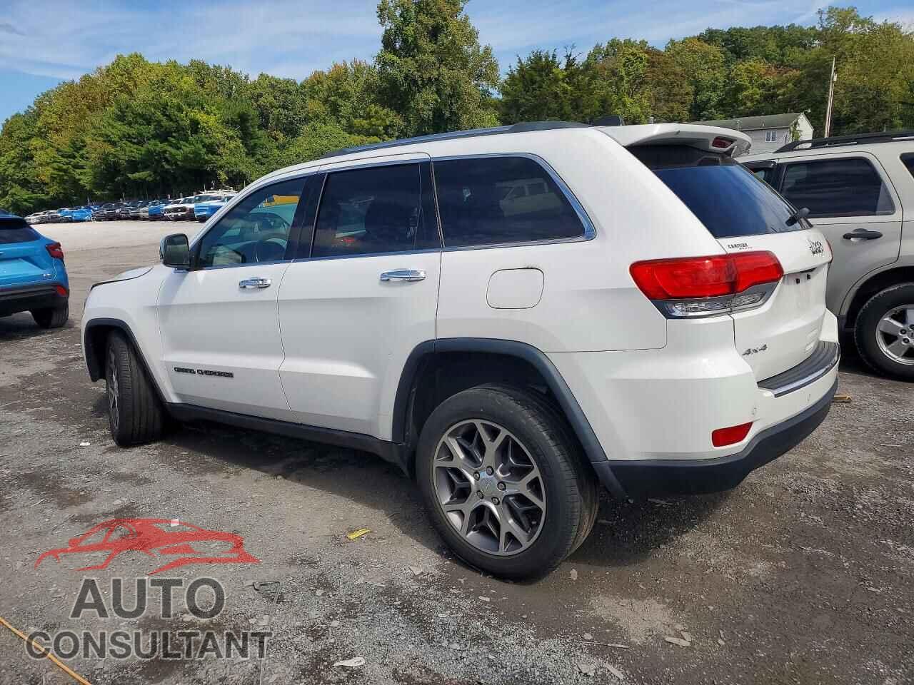 JEEP CHEROKEE 2019 - 1C4RJFBG4KC856551