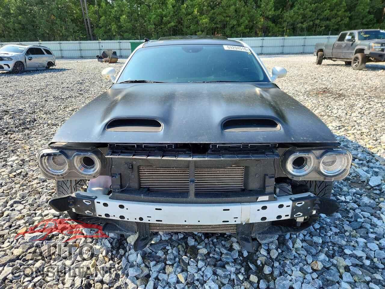 DODGE CHALLENGER 2019 - 2C3CDZL99KH570601