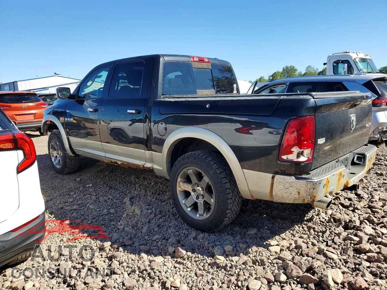 DODGE RAM 1500 2010 - 1D7RV1CTXAS211691