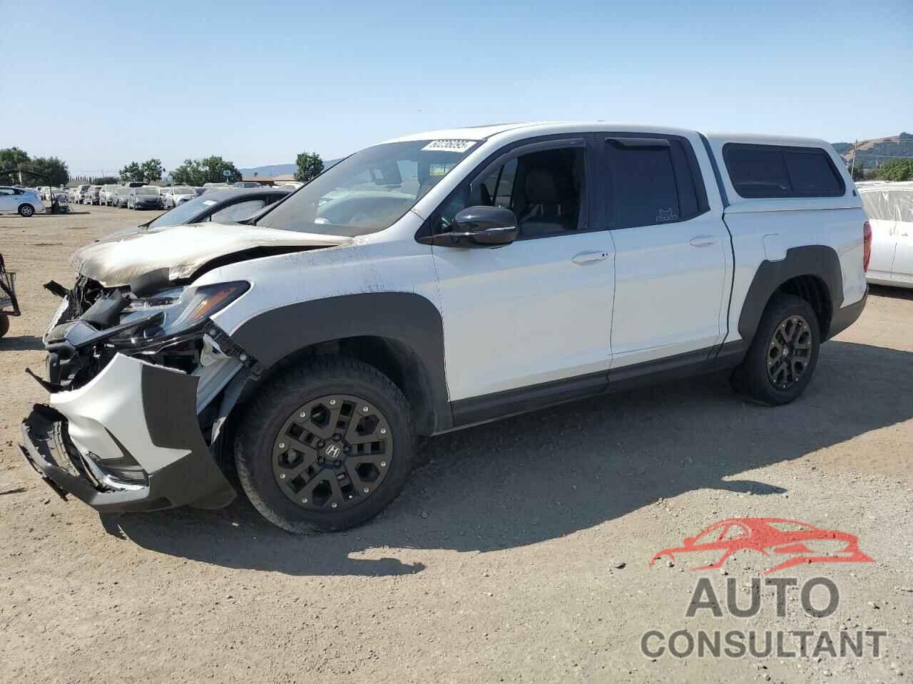HONDA RIDGELINE 2022 - 5FPYK3F83NB027401