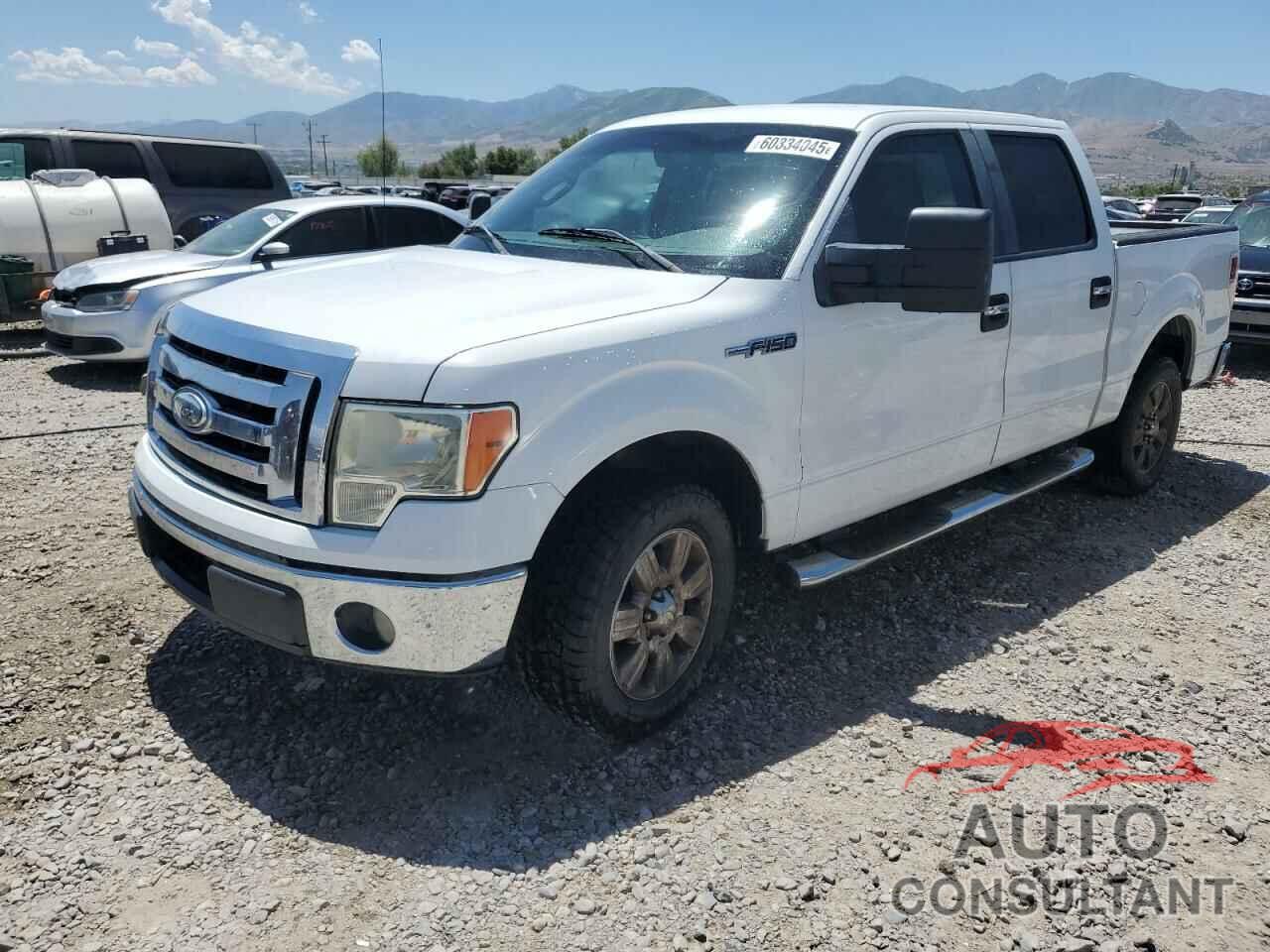 FORD F-150 2009 - 1FTPW12V49KC61077