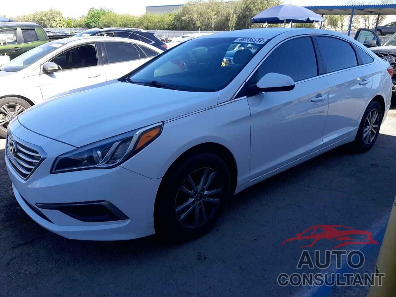 HYUNDAI SONATA 2017 - 5NPE24AF9HH518536