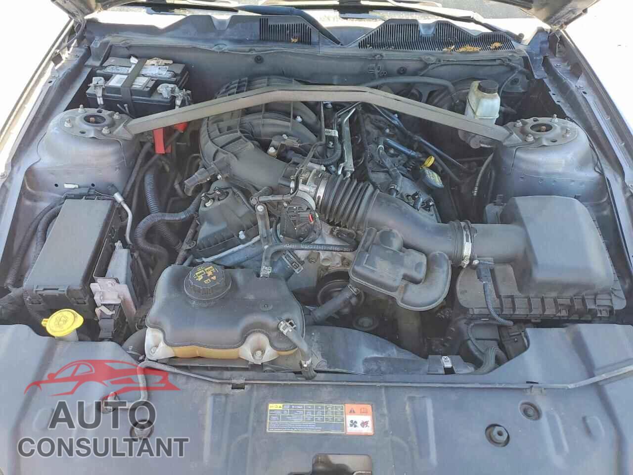 FORD MUSTANG 2014 - 1ZVBP8AM4E5288908