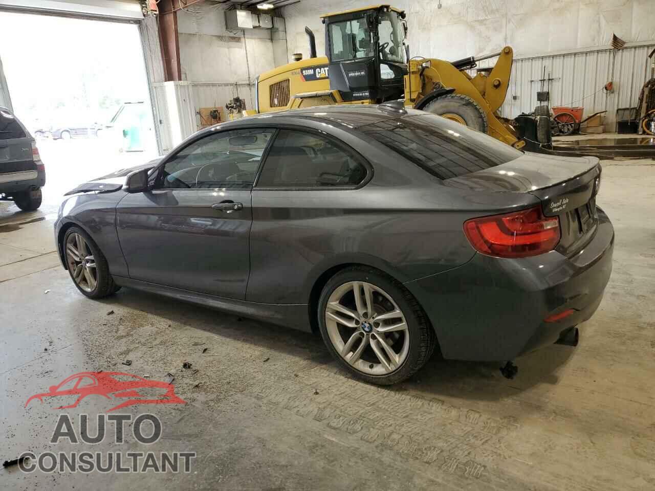 BMW 2 SERIES 2015 - WBA1F5C59FV343633