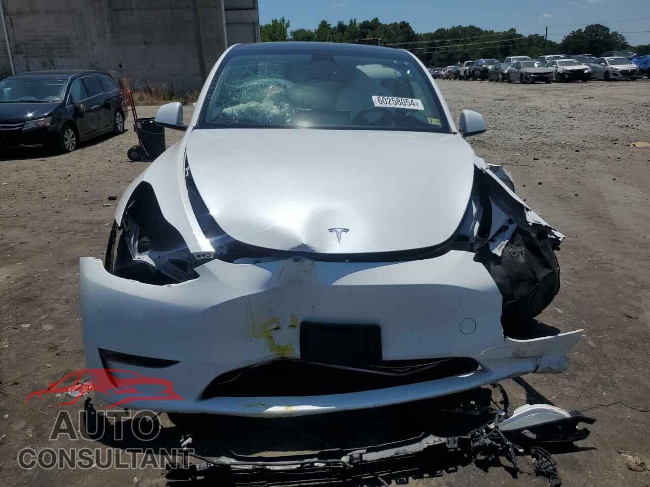 TESLA MODEL Y 2023 - 7SAYGDEE4PF629205