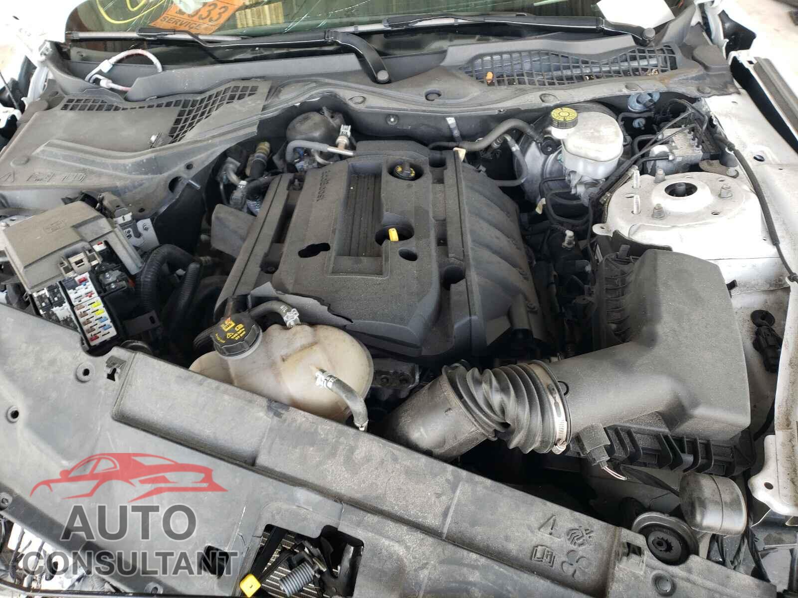FORD MUSTANG 2019 - 1FA6P8THXK5166902