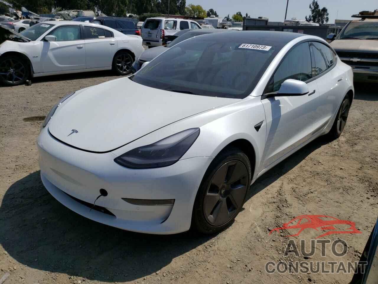 TESLA MODEL 3 2022 - 5YJ3E1EA0NF373344