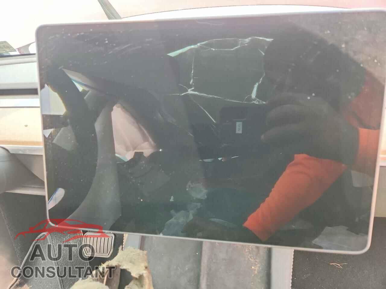 TESLA MODEL Y 2024 - 7SAYGDED1RF096398