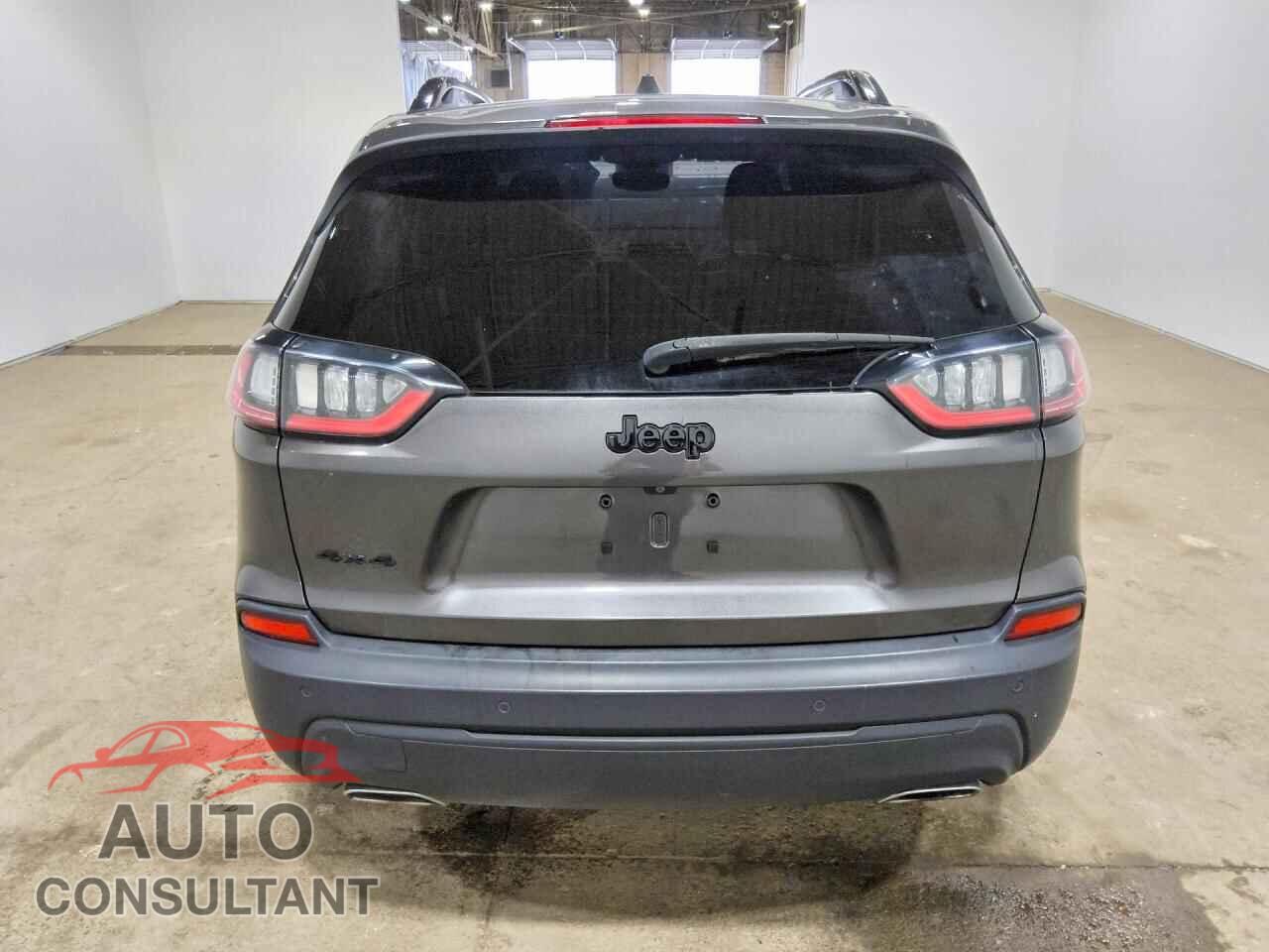JEEP CHEROKEE 2019 - 1C4PJMLX4KD330358