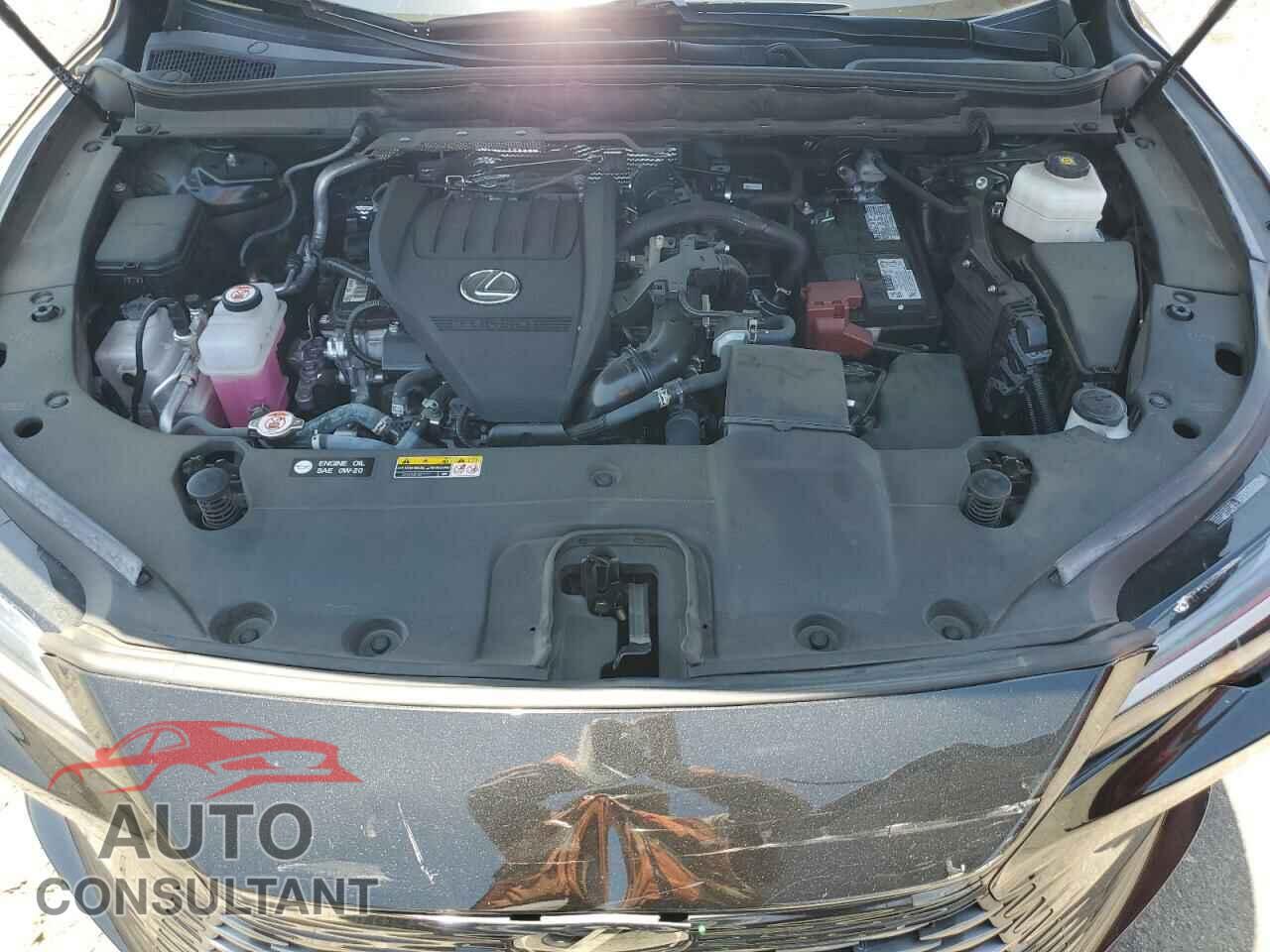 LEXUS RX350 2023 - 2T2BAMCA4PC036268
