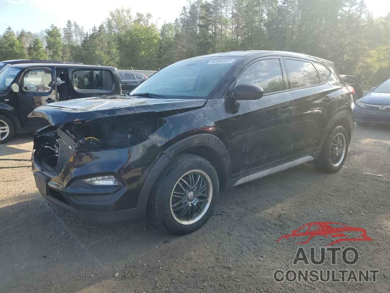 HYUNDAI TUCSON 2017 - KM8J23A42HU550480