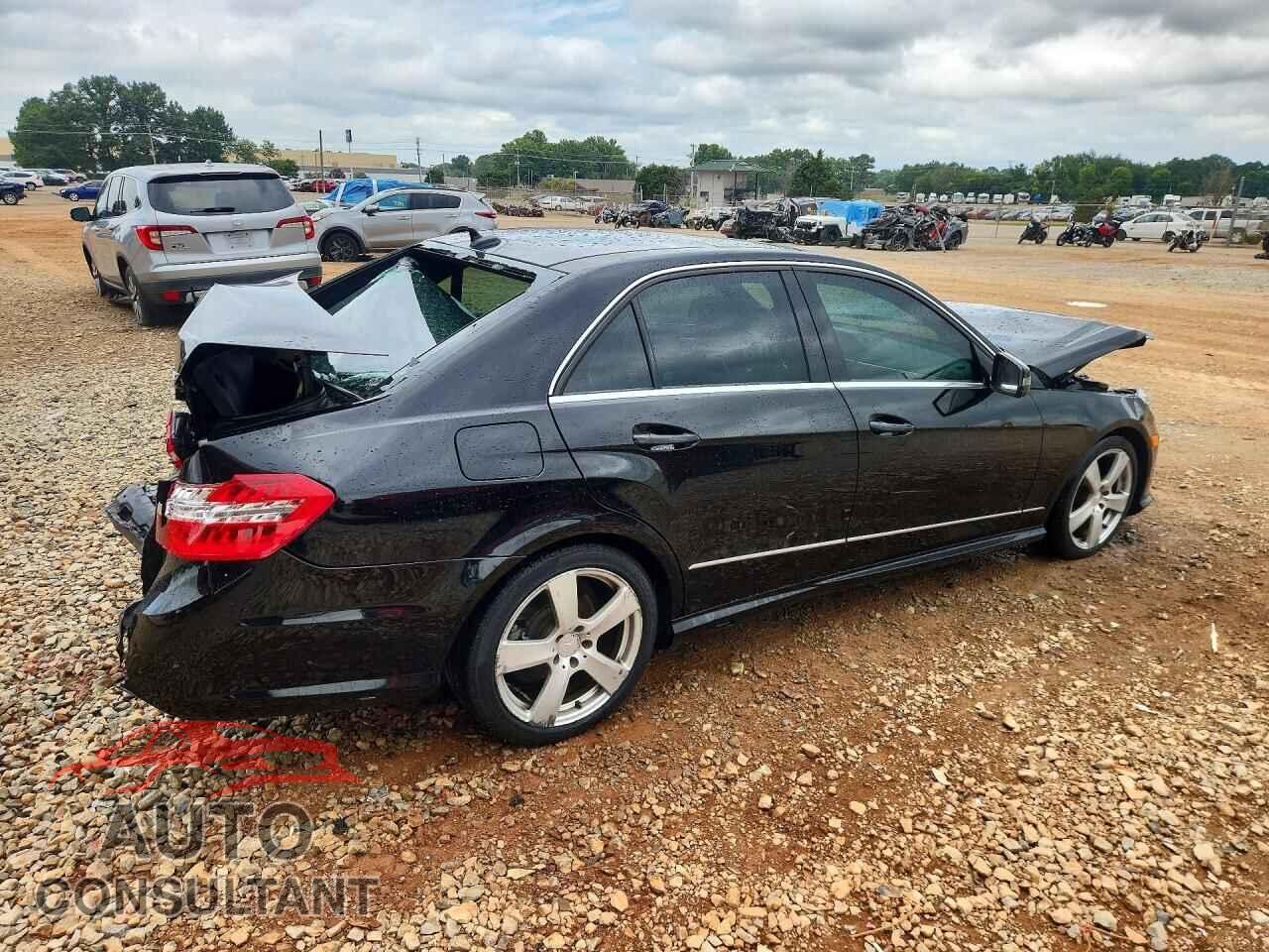MERCEDES-BENZ E-CLASS 2010 - WDDHF8HB7AA256675