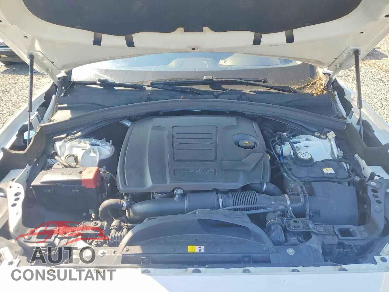 JAGUAR F-PACE 2019 - SADCS2FX1KA604861