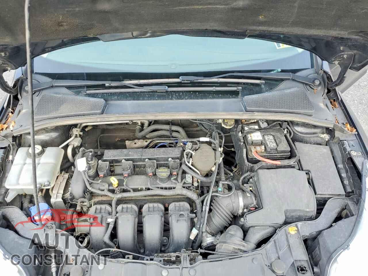 FORD FOCUS 2014 - 1FADP3K26EL135427