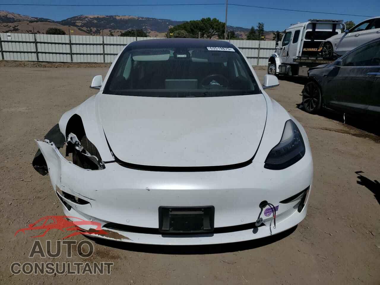 TESLA MODEL 3 2018 - 5YJ3E1EA1JF162566