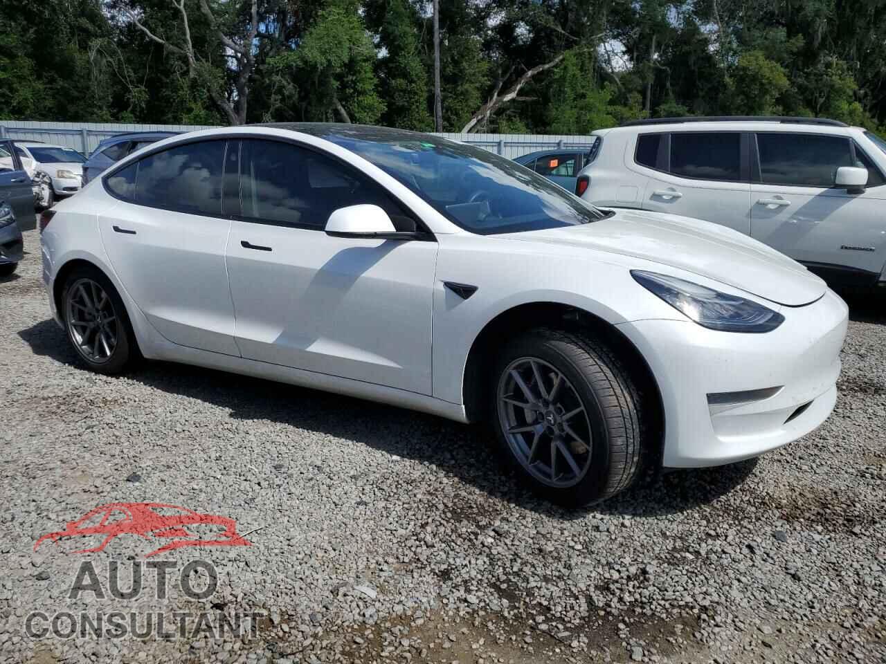 TESLA MODEL 3 2021 - 5YJ3E1EA9MF852019