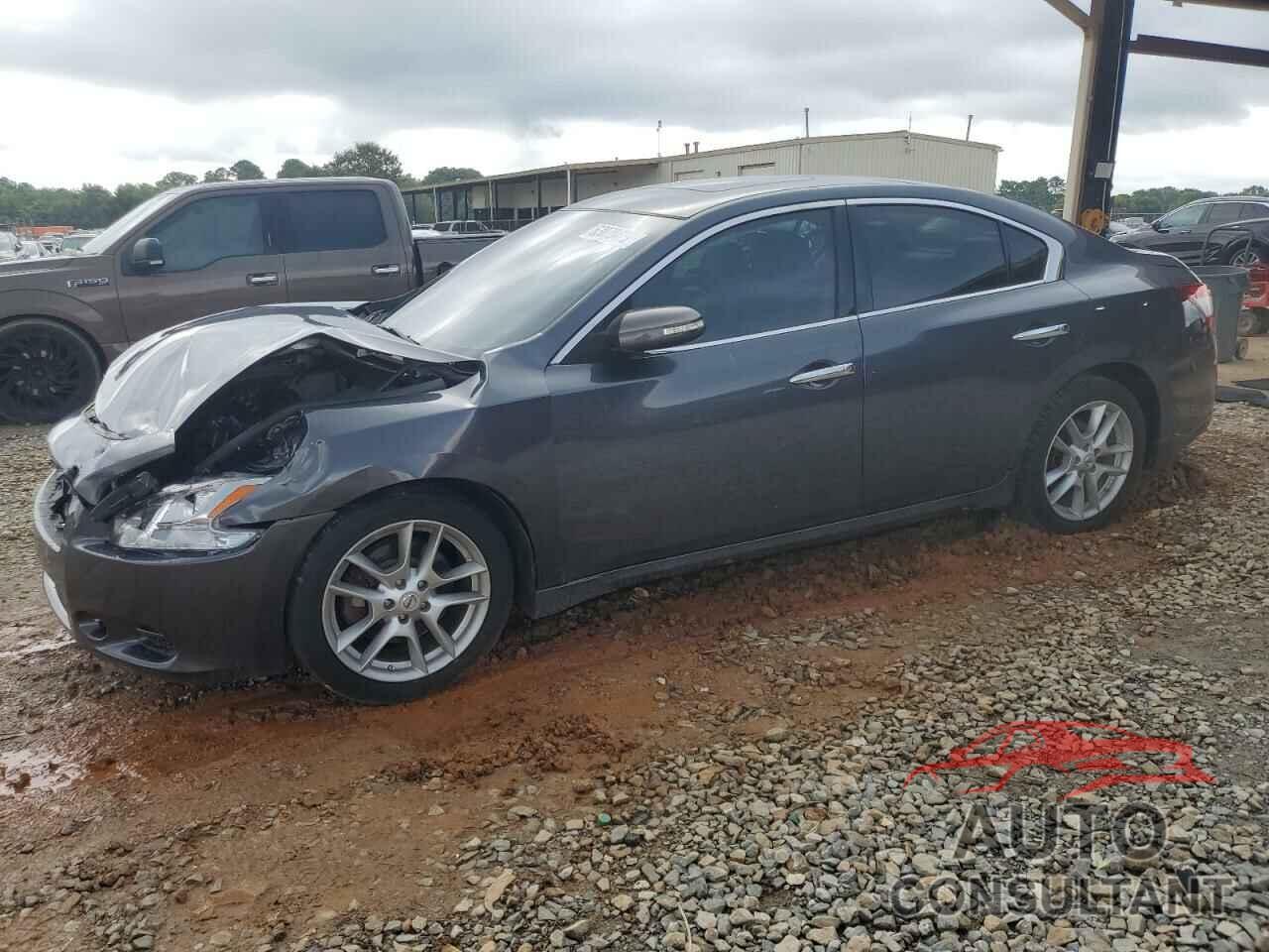 NISSAN MAXIMA 2011 - 1N4AA5AP3BC819781