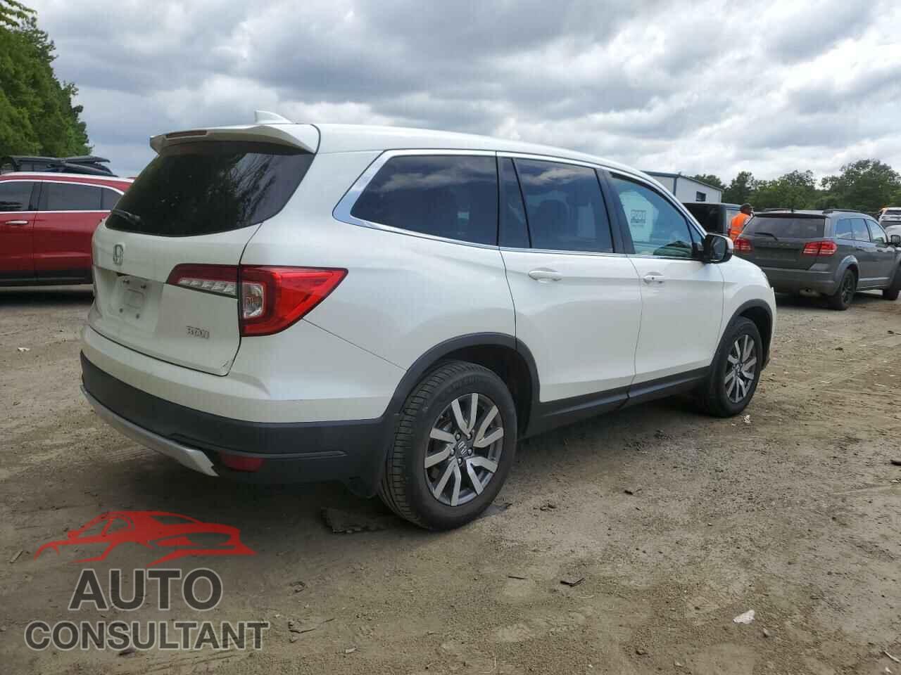 HONDA PILOT 2019 - 5FNYF5H58KB019334