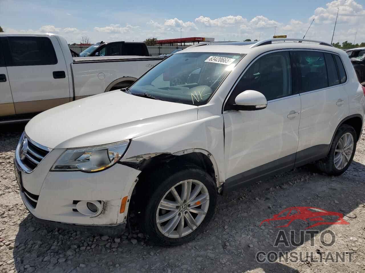 VOLKSWAGEN TIGUAN 2010 - WVGBV7AX8AW000532