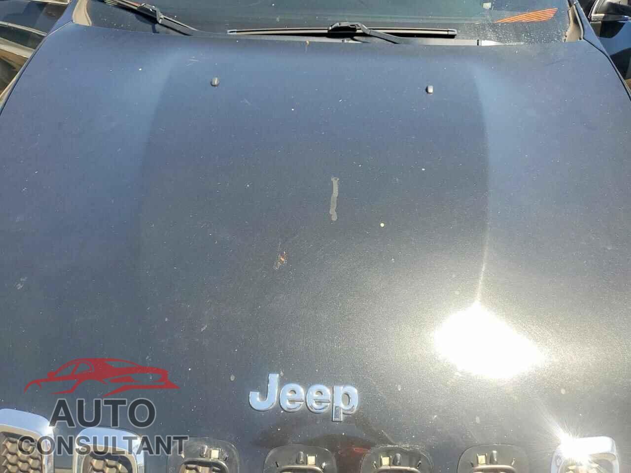 JEEP CHEROKEE 2014 - 1C4PJLDS7EW158574