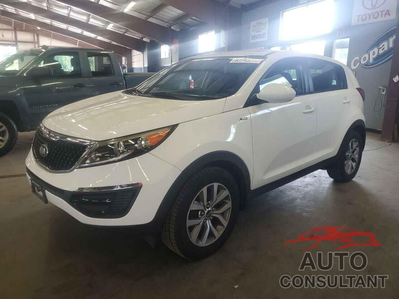 KIA SPORTAGE 2016 - KNDPBCAC9G7853226