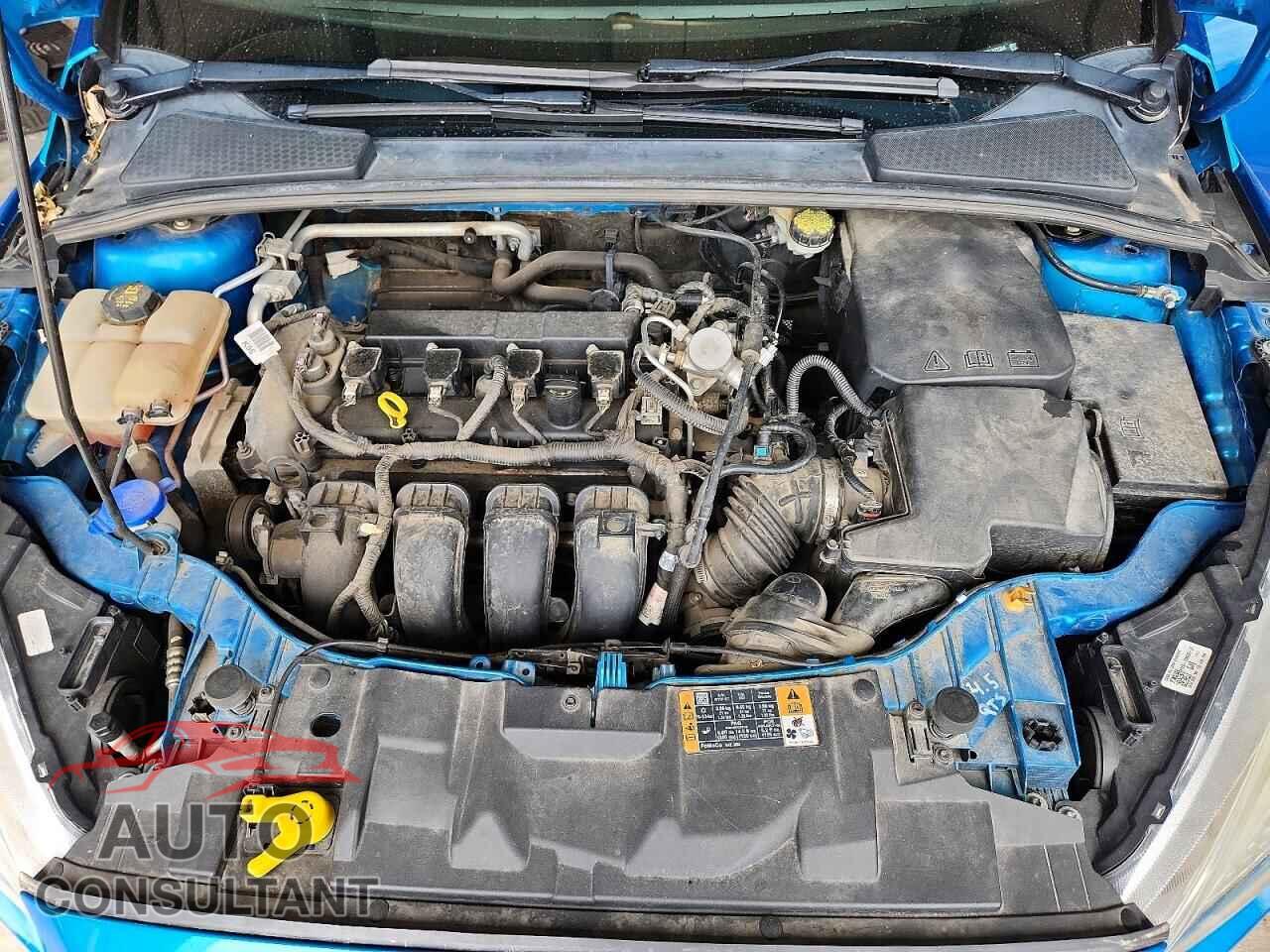FORD FOCUS 2016 - 1FADP3F25GL372584