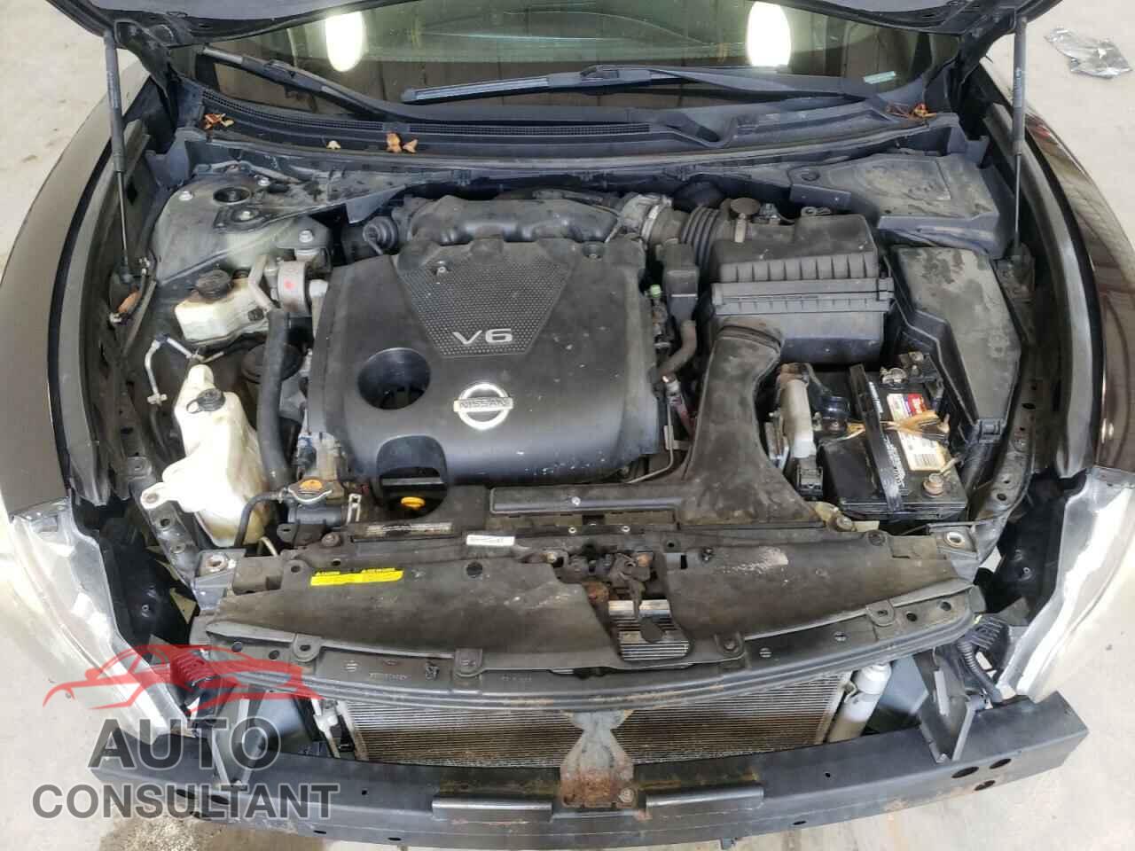 NISSAN MAXIMA 2010 - 1N4AA5AP1AC823245