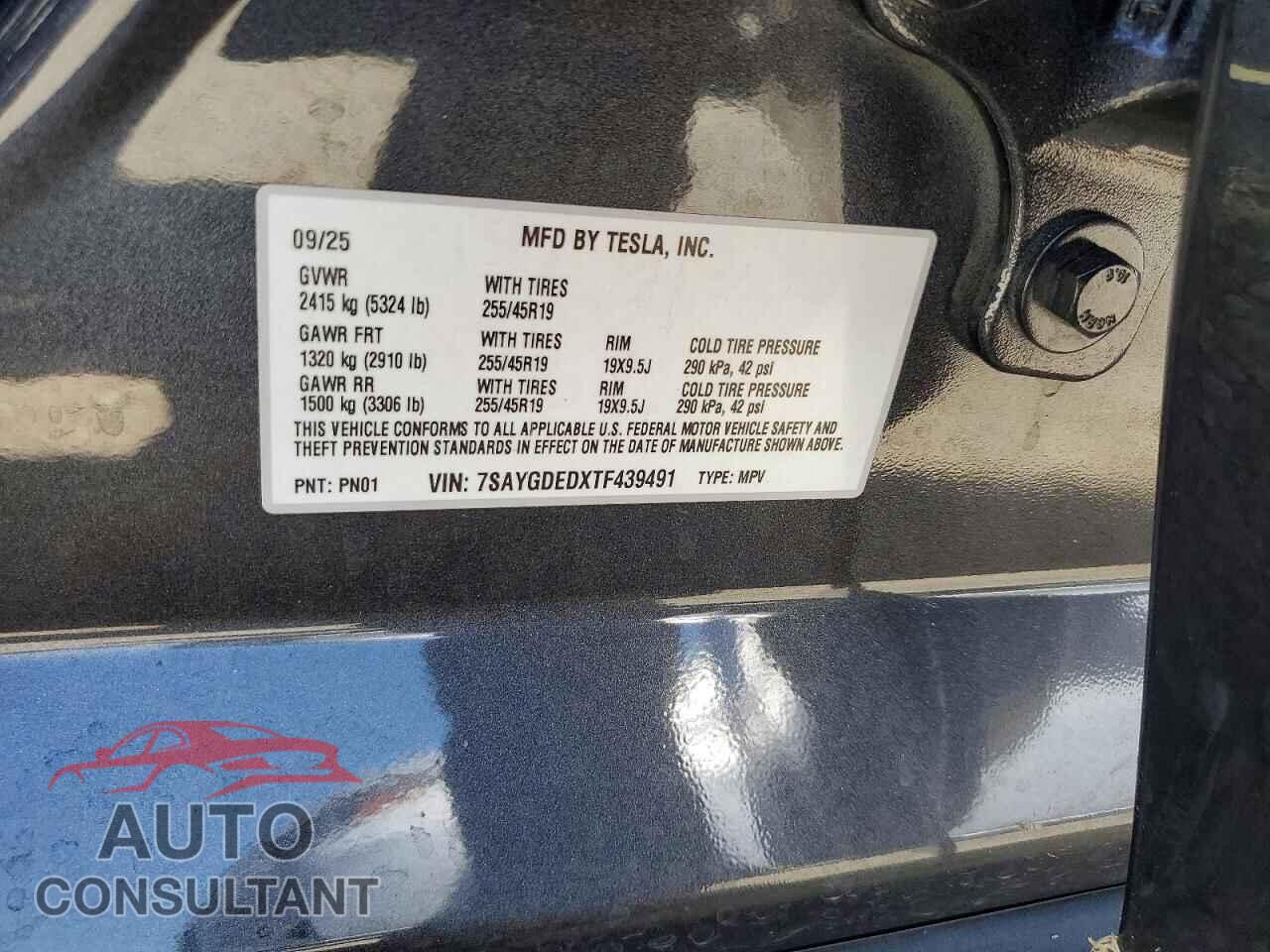 TESLA MODEL Y 2026 - 7SAYGDEDXTF439491