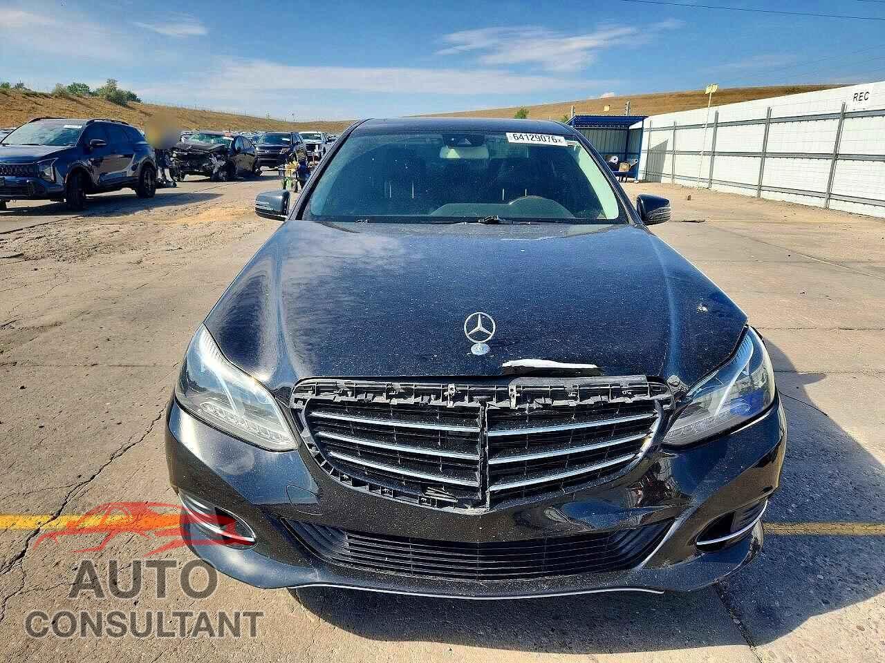 MERCEDES-BENZ E-CLASS 2014 - WDDHF5KB4EA833479