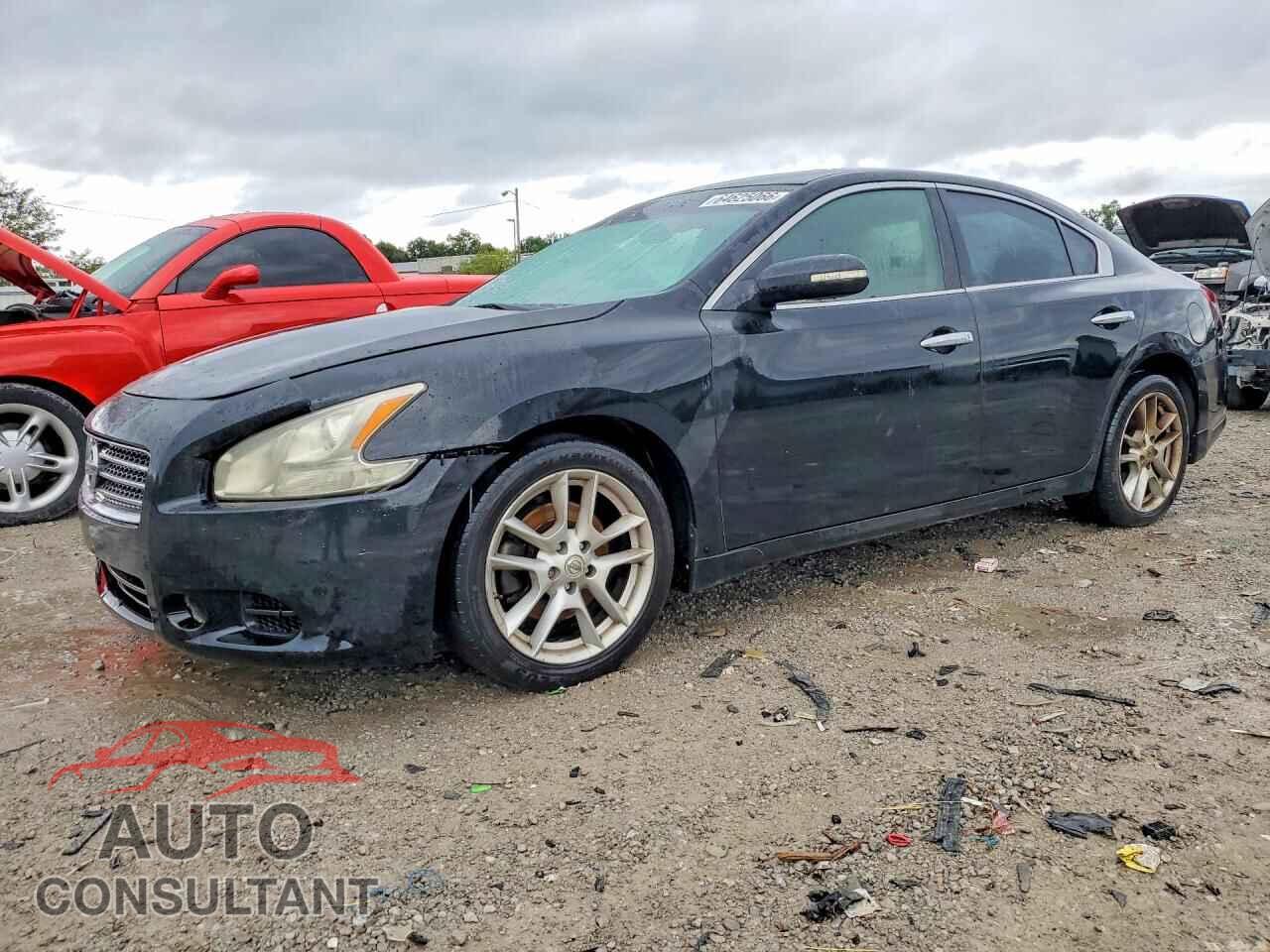 NISSAN MAXIMA 2009 - 1N4AA51E99C858951