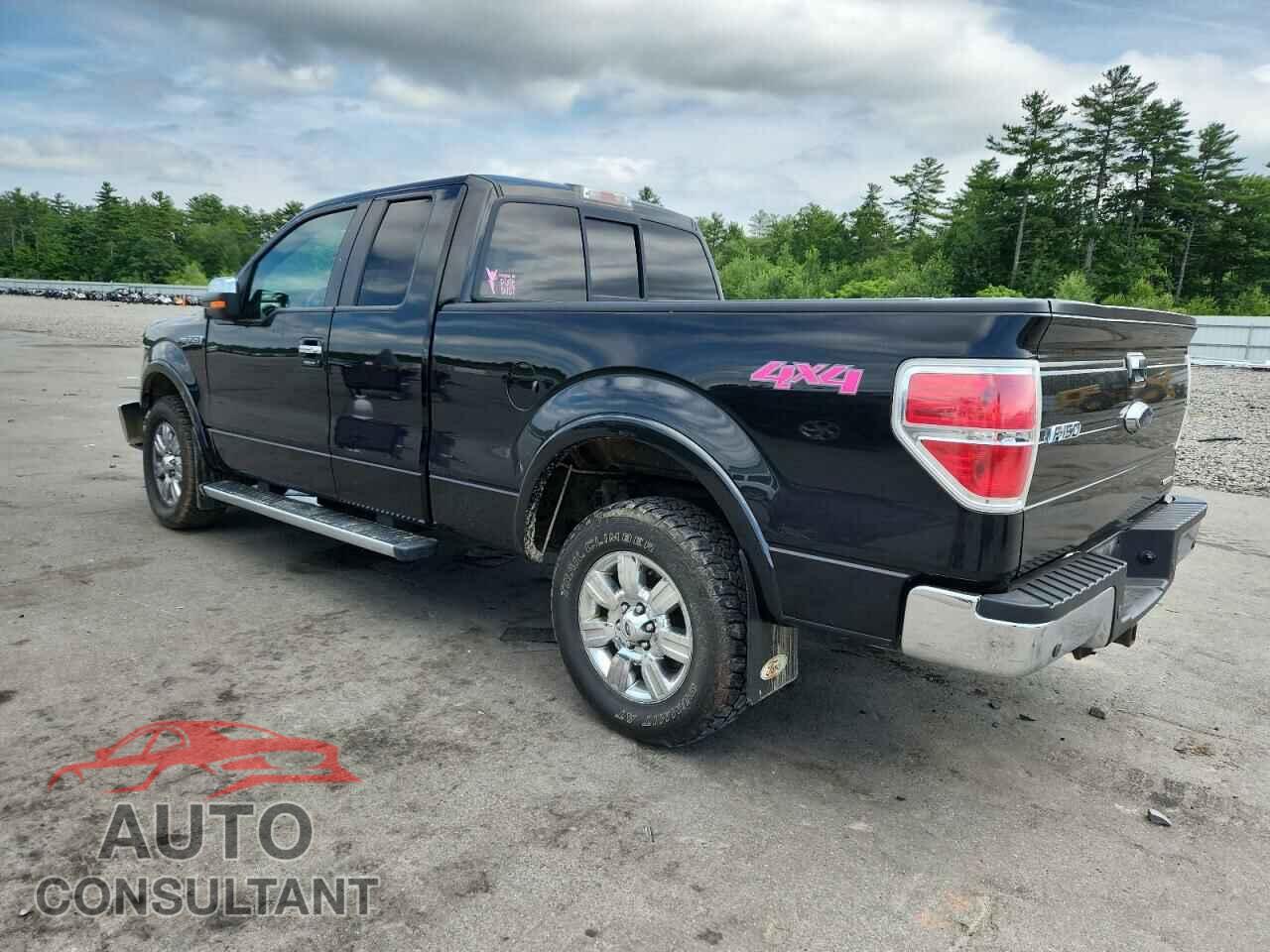 FORD F-150 2011 - 1FTFX1EF1BFB36663